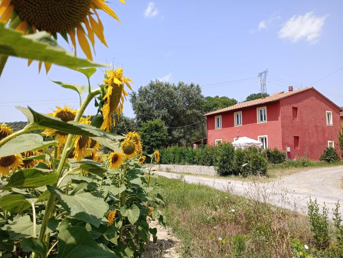 La Casa Rossa * Coiano
