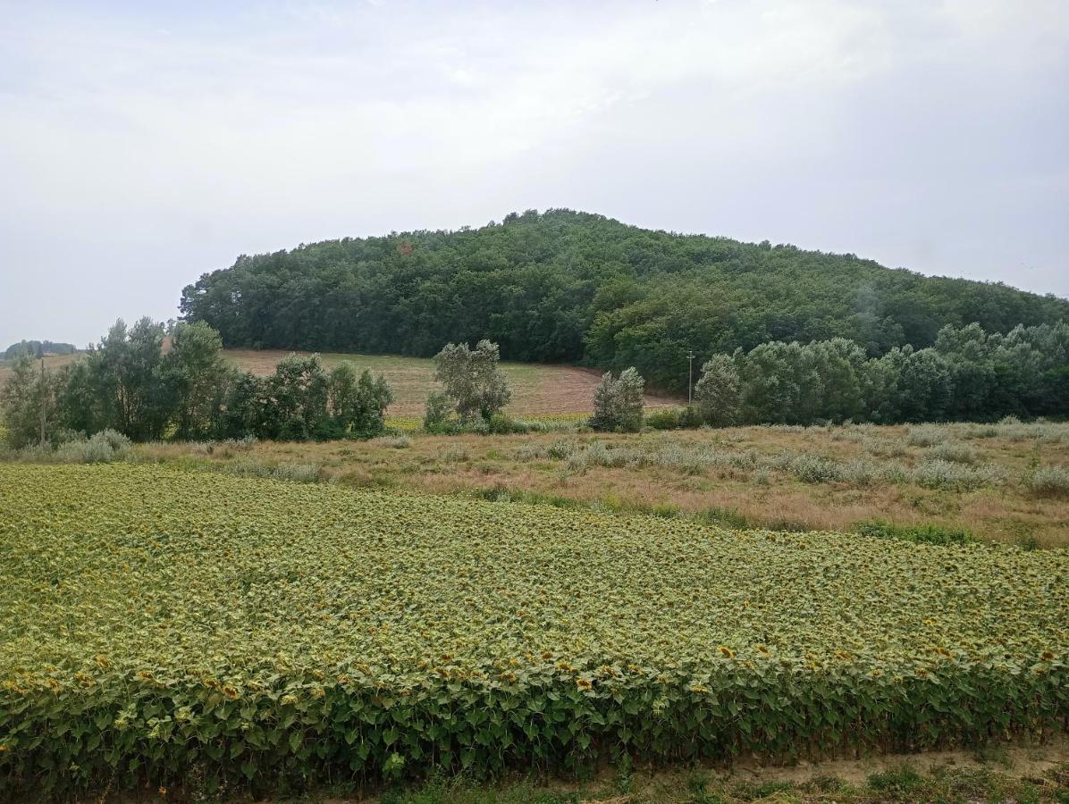Bed and breakfast La Casa Rossa